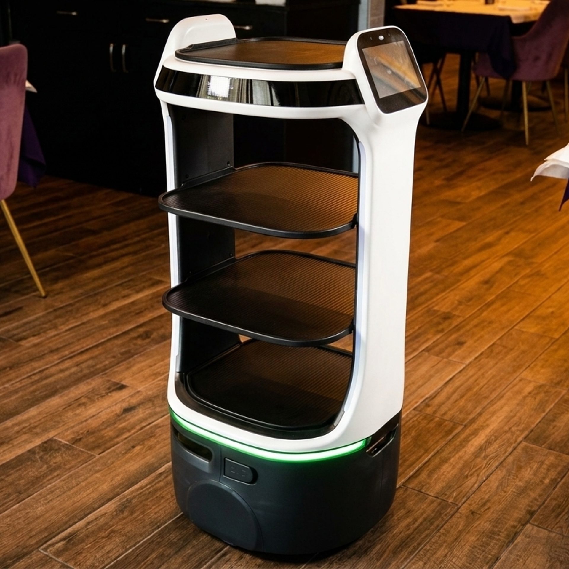 Robotic Service, Human Hospitality